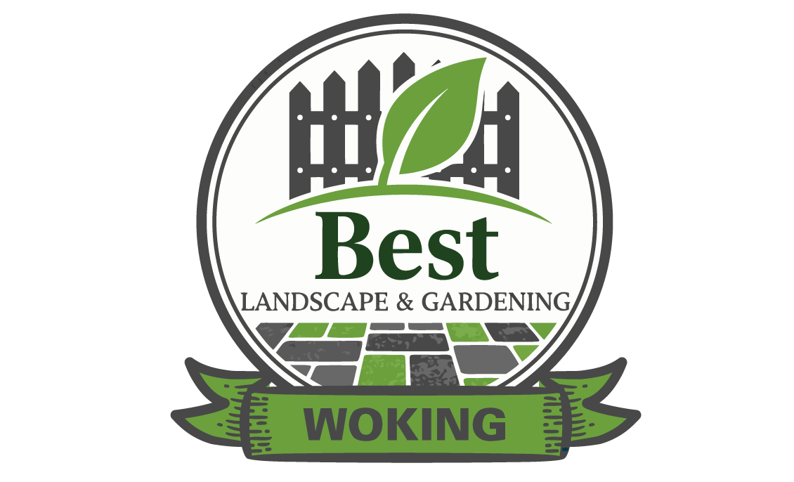 Best Gardening Woking by Best Landscape