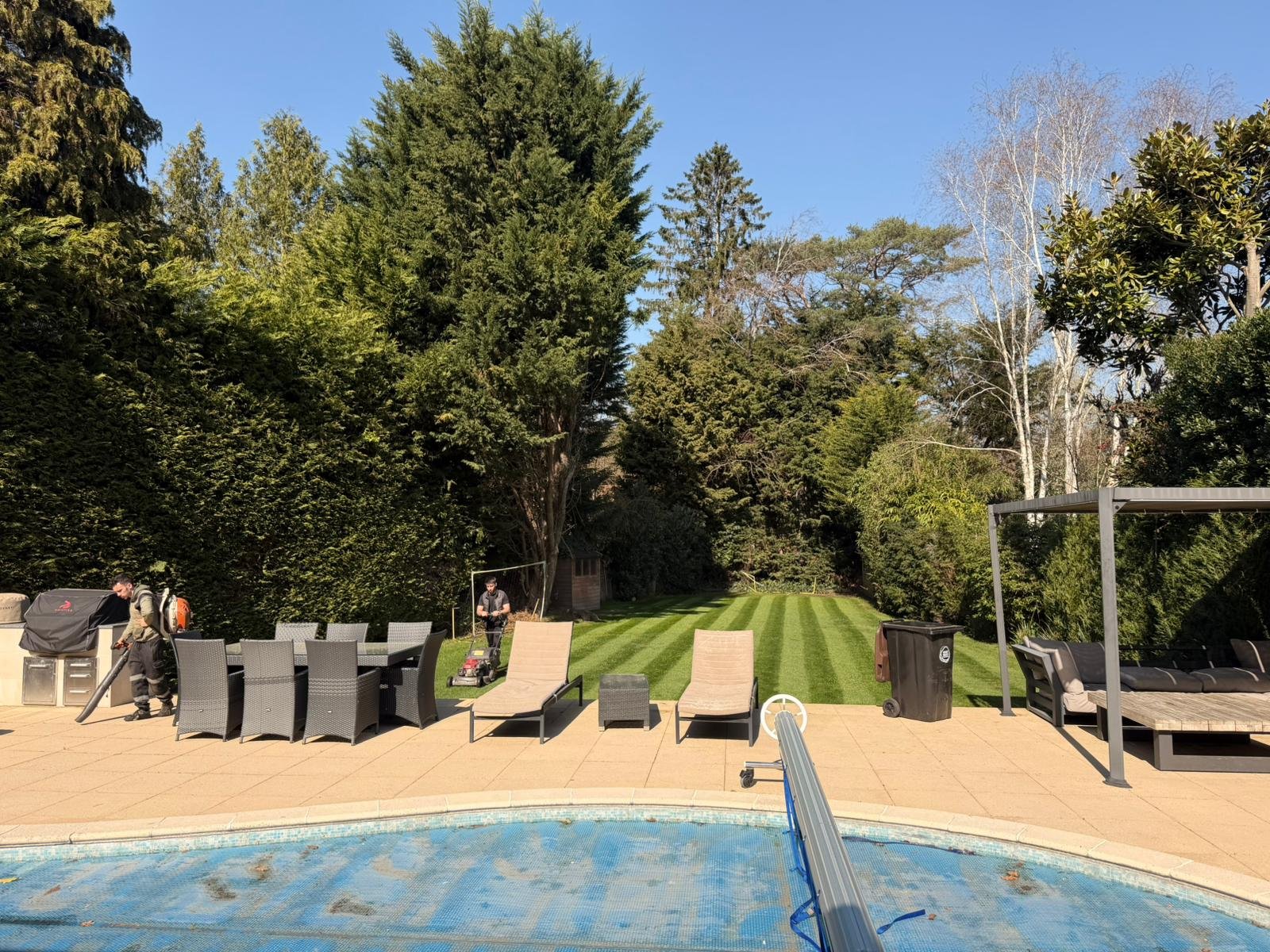 Lawn Cutting in Surrey